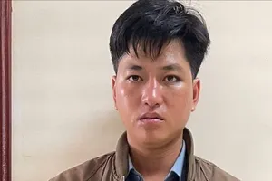 Khởi tố đối tượng sát hại nữ sinh viên