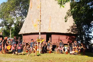 Gia Lai công bố chuỗi sự kiện Festival cồng chiêng, tuần lễ hoa dã quỳ