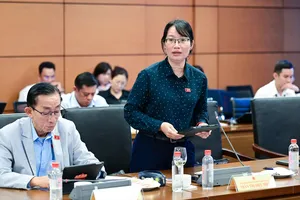 Mức phạt vi phạm hành chính phải đủ sức răn đe, không thành gánh nặng