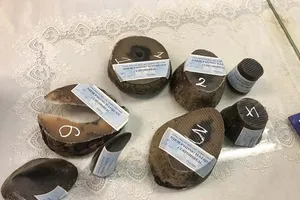 Tang vật bị thu giữ