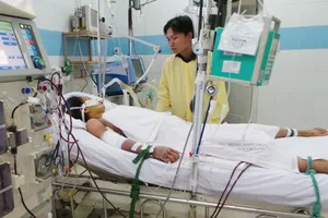 Các ca sốt xuất huyết ở người lớn không ngừng gia tăng