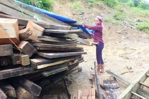 Chị Giàng Thị Dúa (tỉnh Điện Biên) thu gom những vật dụng còn lại sau khi ngôi nhà của chị bị mưa lũ làm đổ sập