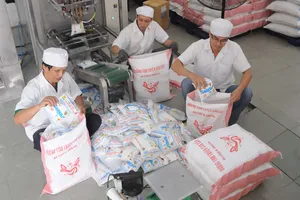 Doanh nghiệp được TPHCM hỗ trợ phát triển năng lực sản xuất                                                                            . Ảnh: CAO THĂNG