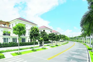 Tuyến đường nội khu xanh mát trong khu biệt thự Saroma Villa