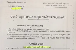 Nguồn gốc, pháp lý khu đất vườn rau tại Tân Bình