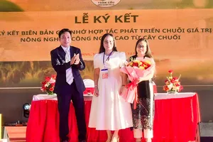 Khát vọng hạt gạo Việt trong kỷ nguyên xanh