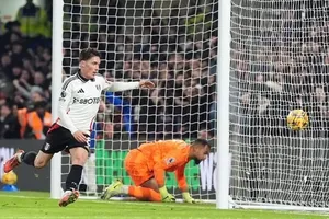 Harry Wilson ghi bàn gỡ hòa cho Fulham 