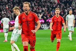 Harry Kane và Kimmick ăn mừng chiến thắng