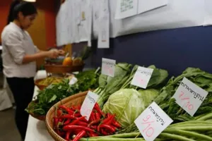 64% rau củ Thái Lan không còn an toàn. Ảnh: BANGKOK POST