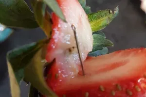 Sau vụ kim khâu, Australia siết chặt quy định xuất khẩu dâu tươi