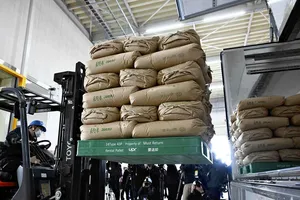 Xuất gạo dự trữ ra khỏi một nhà kho ở tỉnh Saitama ngày 18 - 3. Ảnh : Yomiuri Shimbun