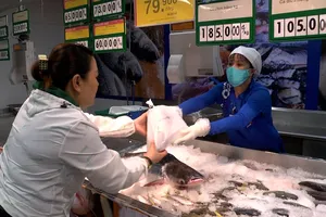 Đặc sản cá tra dầu bày bán tại hệ thống Co.opmart, Co.opXtra, Co.op Food…