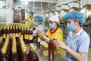 Sản xuất mật ong tại Công ty Cổ phần Tập đoàn Xuân Nguyên, TPHCM