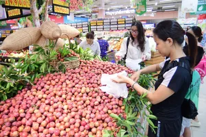 Hơn 300 tấn mận hậu Sơn La đang được bày bán trong hệ thống Co.opmart. Ảnh: MINH PHÚC