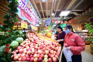 Saigon Co.op vận hành hơn 800 điểm bán trên toàn quốc. Ảnh MINH XUÂN