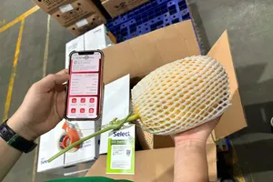 Người tiêu dùng có thể quét mã QR để tiếp cận thông tin truy xuất nguồn gốc sản phẩm. ẢNH MINH XUÂN