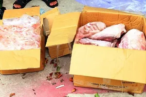 Tang vật thu giữ. Ảnh: CABD