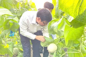 Xã Phú Giáo phát triển nông nghiệp công nghệ cao