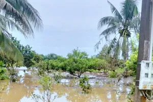 Mực nước sông Đồng Nai dâng cao, nhiều nơi có nguy cơ ngập lụt