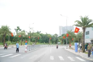 Phường Lái Thiêu khánh thành “Tuyến đường hoa - tuyến đường cờ Tổ quốc”