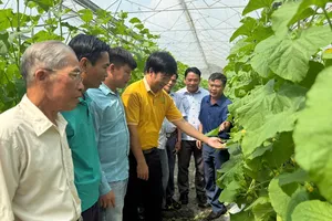 Đưa nông dân tham quan mô hình trồng dưa lưới công nghệ cao