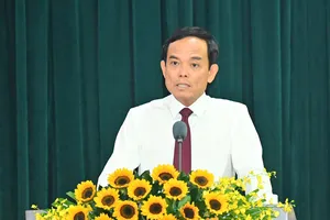 TPHCM rà soát toàn diện quy hoạch, cơ chế và bộ máy hành chính