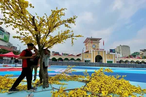 Cầu thị lắng nghe, kịp thời xử lý các ý kiến đóng góp của nhân dân