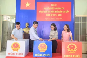 TPHCM: Vận hành thử nghiệm quy trình bầu cử