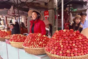 Chỉ số giá tiêu dùng tháng 9-2017 tăng 0,59% so với tháng trước.