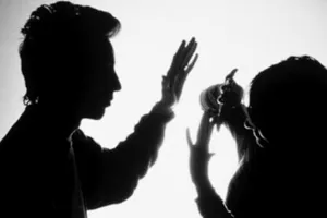 Cơ quan giám sát cho rằng số liệu thống kê về bạo lực gia đình cũng như phòng chống bạo lực gia đình chưa đáng tin cậy 