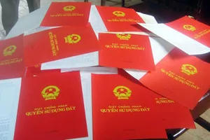 Tỷ lệ cấp giấy chứng nhận lần đầu đạt trên 97,2% tổng diện tích cần cấp   ​  