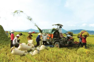 Nghị quyết về miễn, giảm thuế SDĐNN có hiệu lực thi hành từ ngày 1-1-2021