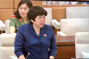 Chủ nhiệm Ủy ban về các vấn đề xã hội Nguyễn Thúy Anh báo cáo tại phiên họp