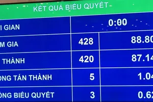 Quốc hội thông qua Nghị quyết về tổ chức chính quyền đô thị tại TPHCM  ​