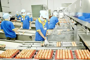 Ủy ban Tài chính - Ngân sách: Thu vượt dự toán hơn 9 lần, đáng lo hơn đáng mừng  ​