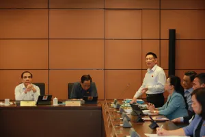 Bộ trưởng Bộ Tài chính Hồ Đức Phớc phát biểu sáng 25-5. Ảnh: QUANG PHÚC 