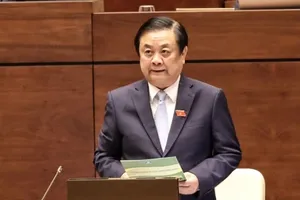 Không tối đa hóa sản lượng mà cần tối đa hóa giá trị nông sản  ​