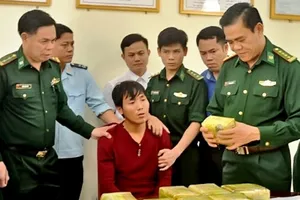 Năm 2022, cơ quan chức năng đã triệt phá được nhiều đường dây mua bán, vận chuyển ma túy xuyên quốc gia thu giữ số lượng ma túy lớn