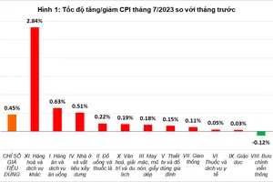 Tốc độ tăng giảm CPI tháng 7-2023 so với tháng trước. Nguồn: Tổng cục Thống kê 