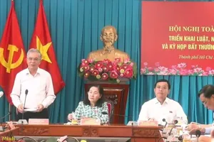 Phó Chủ tịch UBND TPHCM Ngô Minh Châu phát biểu từ điểm cầu TPHCM