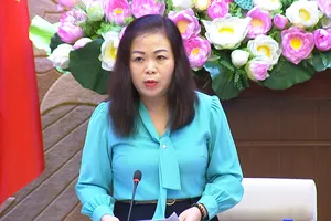 Phó Chủ nhiệm Ủy ban Kinh tế và Tài chính Vũ Thị Lưu Mai tổng kết nội dung thảo luận