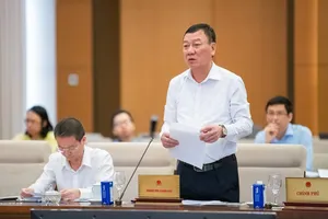 Tổng Thanh tra Chính phủ Đoàn Hồng Phong báo cáo tại phiên họp 