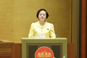 Đẩy mạnh phân cấp, ủy quyền cho chính quyền địa phương ở đặc khu