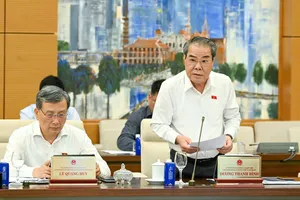 Chủ nhiệm Ủy ban Dân nguyện và Giám sát Dương Thanh Bình báo cáo về công tác dân nguyện. Ảnh: VIẾT CHUNG