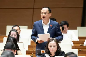 ĐB Nguyễn Ngọc Sơn (Hải Phòng) phát biểu tại hội trường sáng 28-10. Ảnh: QUANG PHÚC