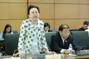 ĐB Phạm Khánh Phong Lan (TPHCM) phát biểu sáng 17-11. Ảnh: QUANG PHÚC 