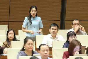 ĐB Hoàng Thị Thanh Thúy (Tây Ninh) phát biểu tại hội trường, sáng 12-4. Ảnh: QUANG PHÚC