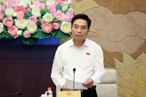 Phó Chủ tịch Quốc hội Nguyễn Doãn Anh kết luận tại buổi làm việc. Ảnh: CẨM HÀ