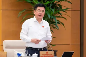 Phó Chủ tịch Quốc hội Nguyễn Hồng Diên kết luận nội dung thảo luận. Ảnh: CẨM HÀ 