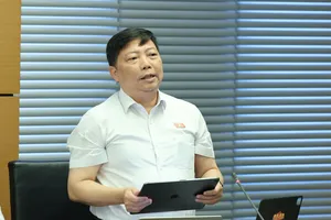 ĐB Nguyễn Vũ Trung (TPHCM) phát biểu tại phiên thảo luận tổ. Ảnh: QUANG PHÚC